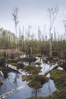 Nature reserve