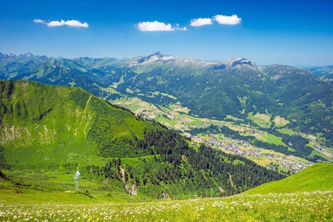 Panorama from Fellhorn
