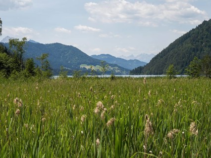 View of Lake Weissensee