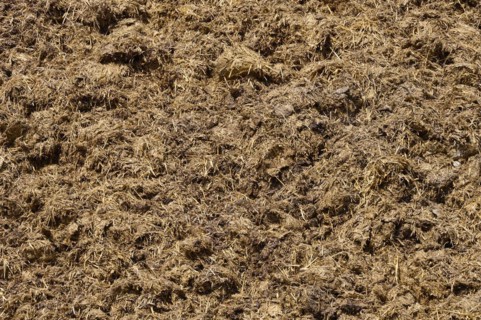 Muck heap
