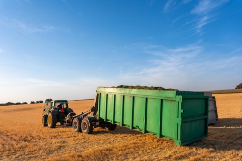 Workers working on crops in a field