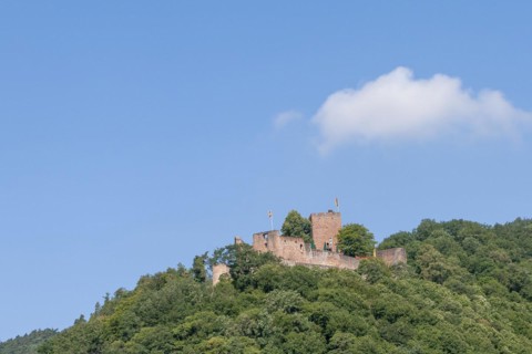 Landeck Castle Ruin