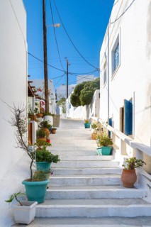 White houses