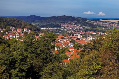 View of Eisenach from the Goepelskuppe
