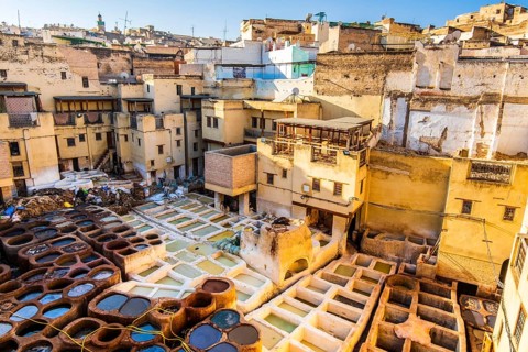 Famous tannery in sunny Fez