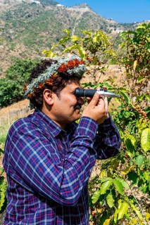 Traditional dressed man of the Qahtani Flower men tribe in the coffee plants
