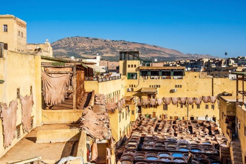 Famous skin tannery in Fes