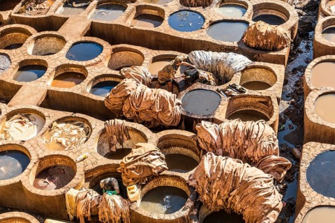 Famous skin tannery in Fes