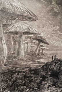 1864 book illustration showing giant mushrooms from science fiction novel Journey to the Center of the Earth by French writer