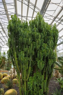 Glass plant house in the villa gardens by the lake