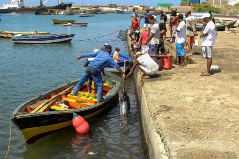 Local fishermen in small boat Wooden boat handed over to quay wall selling caught fish atlantic blue marlin