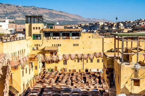 Famous skin tannery in Fes