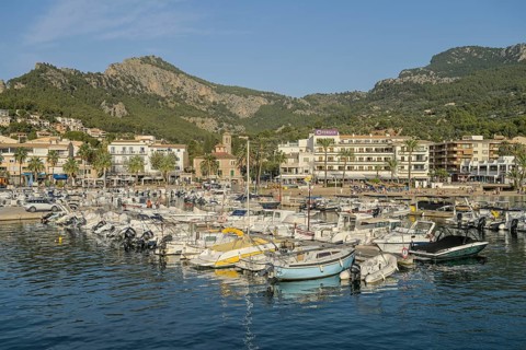 Fishing boats