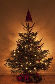 Christmas tree with a Christmas hat on the top of the tree
