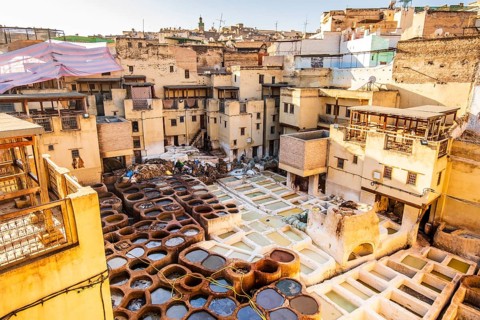 Famous tannery in sunny Fez