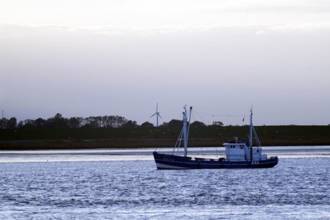 Fishing cutter on the Unterweser near Blexen