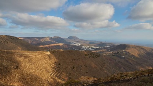 Terraced fields