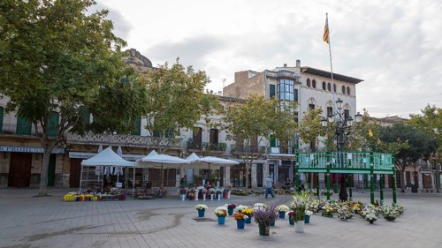 Marketplace of Llucmajor with flower stalls