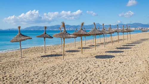 Empty beach with parasols