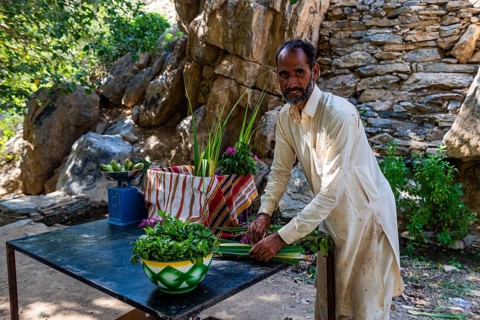 Man selling flowers