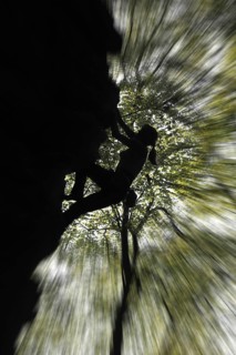 Silhouetted female rock climber climbing in sandstone cliff Wanterbaach at Berdorf