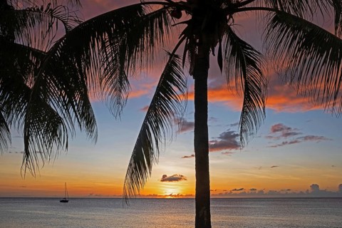 Anchored sailing boat and palm trees silhouetted against sunset sky along the west coast of the French island of Martinique in the Caribbean Sea