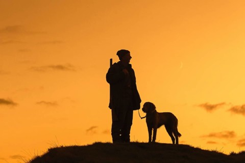 Hunter with hunting rifle and Weimaraner dog silhouetted against evening sky