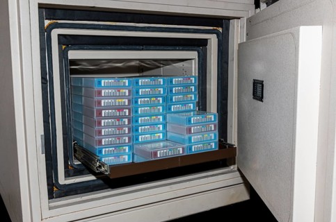 Data backup tapes are protected in a safe vault
