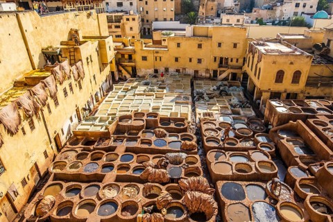 Famous skin tannery in Fes