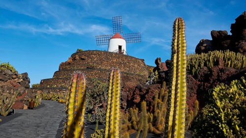 Jardin de Cactus