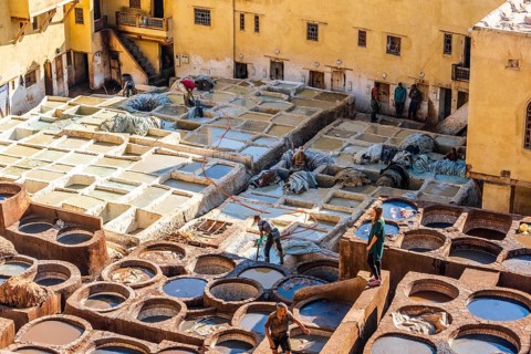 Famous skin tannery in Fes