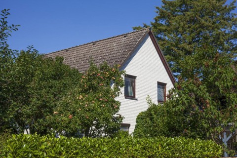 Single-family house