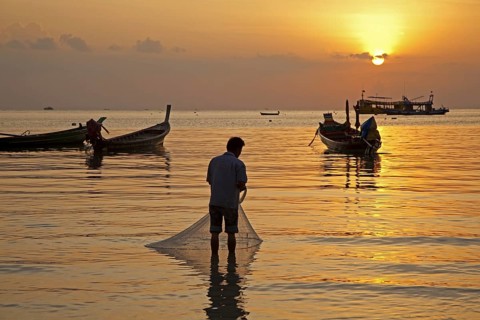 Thai fishing boats silhouetted against sunset