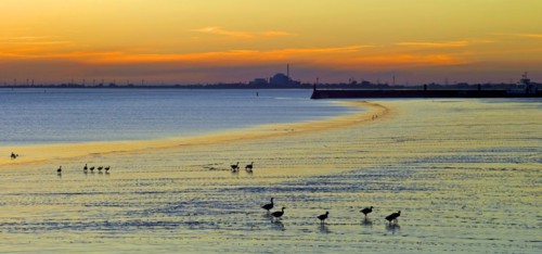 Evening mood on the Elbe
