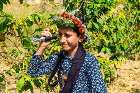 Young boy of the Qahtani Flower men tribe in the coffee plants