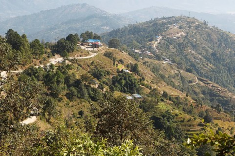 Terraced fields fields in the Kafalchur valley