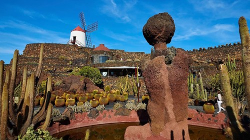 Jardin de Cactus