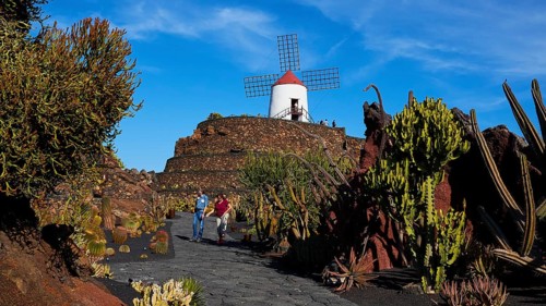 Jardin de Cactus