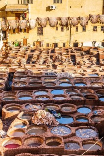 Famous skin tannery in Fes