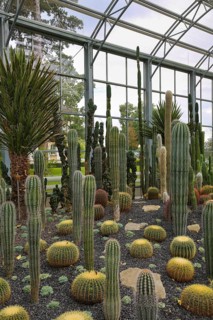 Glass plant house in the villa gardens by the lake