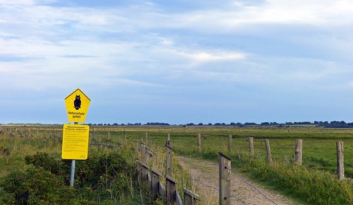 View of the Graswarder nature reserve