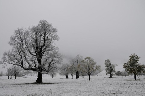 Winter onset