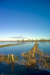Flooded nature reserve Breites Wasser near Worpswede
