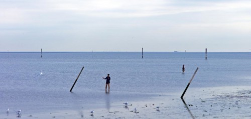 Mudflat walkers in the mudflats off Dornumersiel