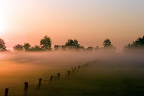 Sunrise in the Breites Wasser nature reserve near Worpswede