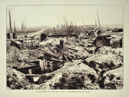 Trenches and broken trees of forest after bombardment