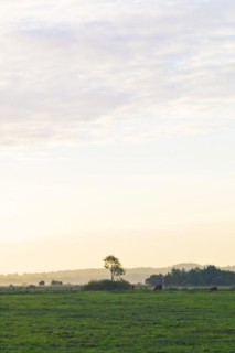 After sunrise in the Breites Wasser nature reserve with a view of the Weyerberg