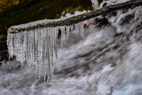 Branch with icicles on a torrent in West Allgaeu