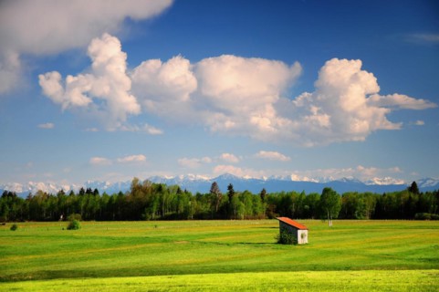 Meadows near Raisting