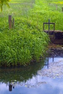 Small siel in the Wuemmewiesen of Bremen Borgfeld